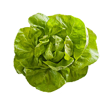 Letu's profile picture